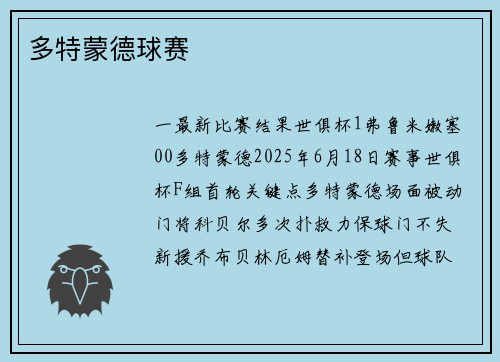 多特蒙德球赛
